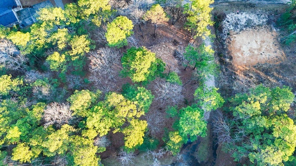 0.24 acres in Texas County - photo 19