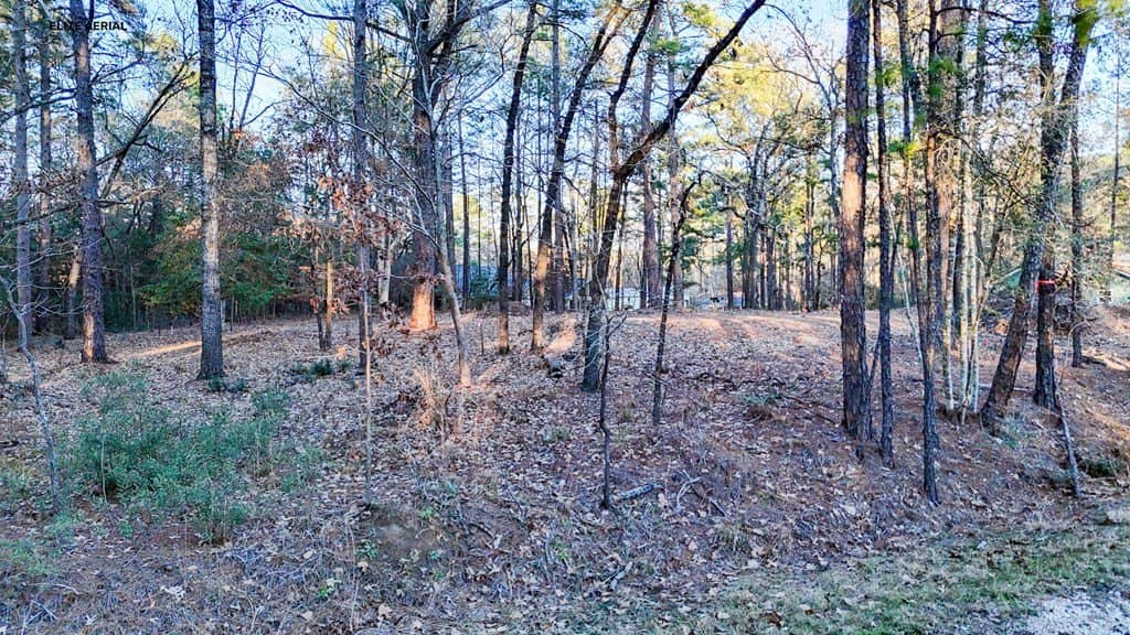 0.24 acres in Texas County - photo 2