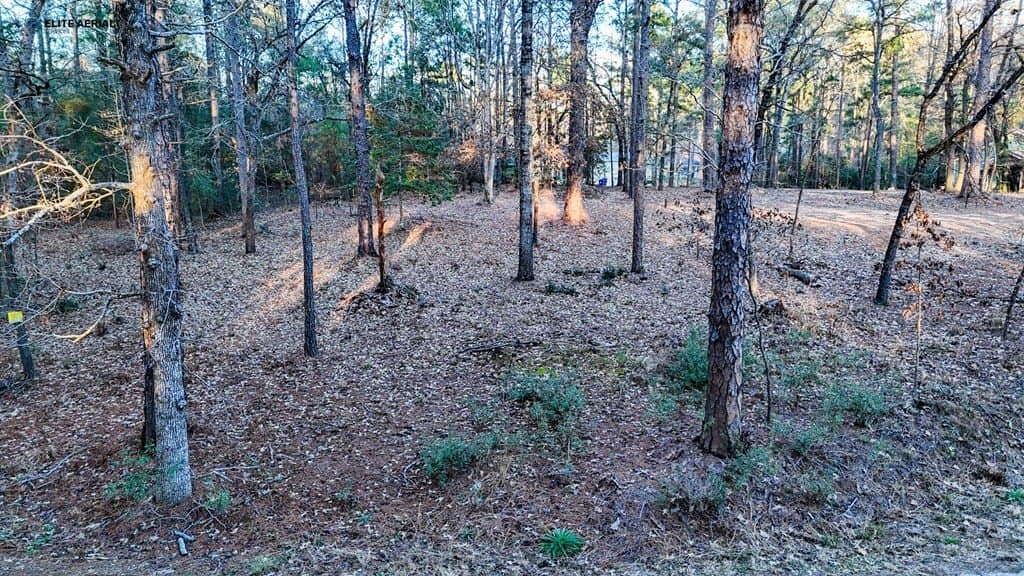 0.24 acres in Texas County - photo 3
