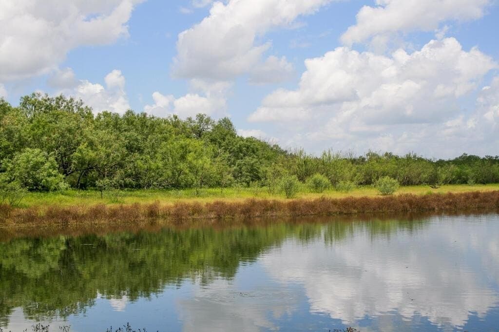 97.24 acres in Wilson County - photo 2
