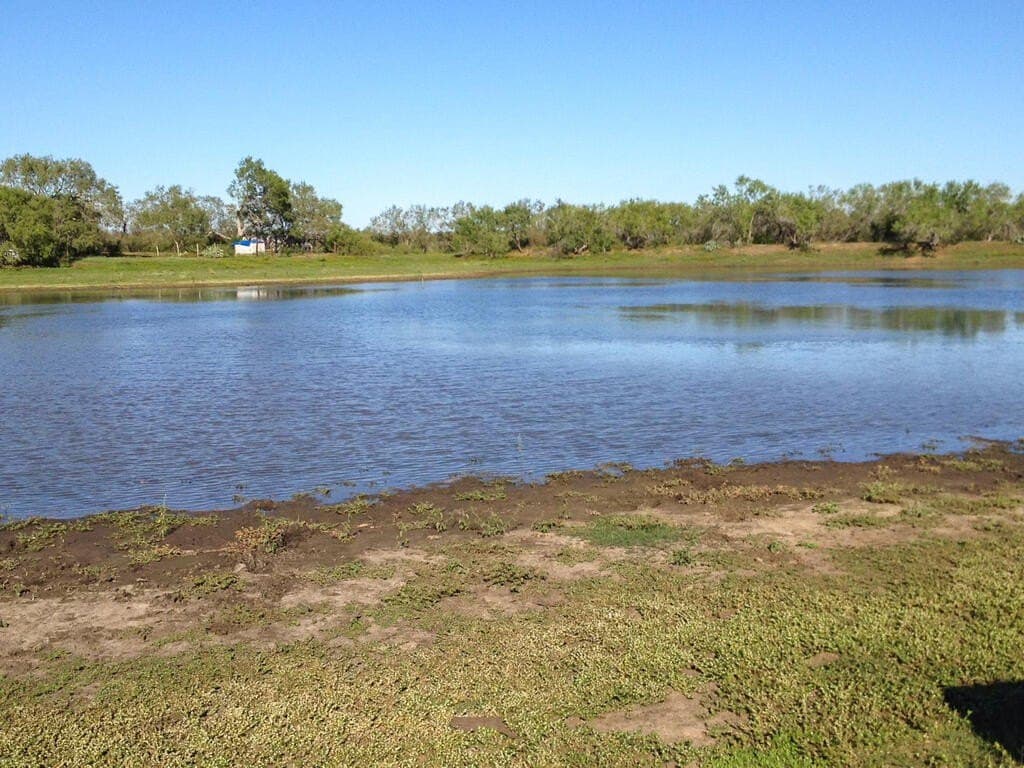 97.24 acres in Wilson County - photo 29