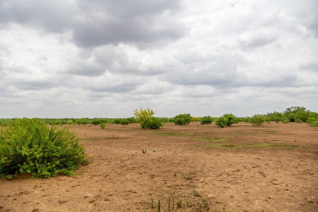 97.24 acres in Wilson County - photo 18