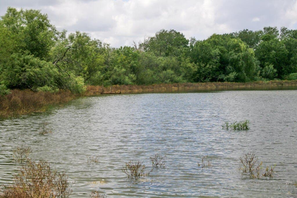 97.24 acres in Wilson County - photo 7