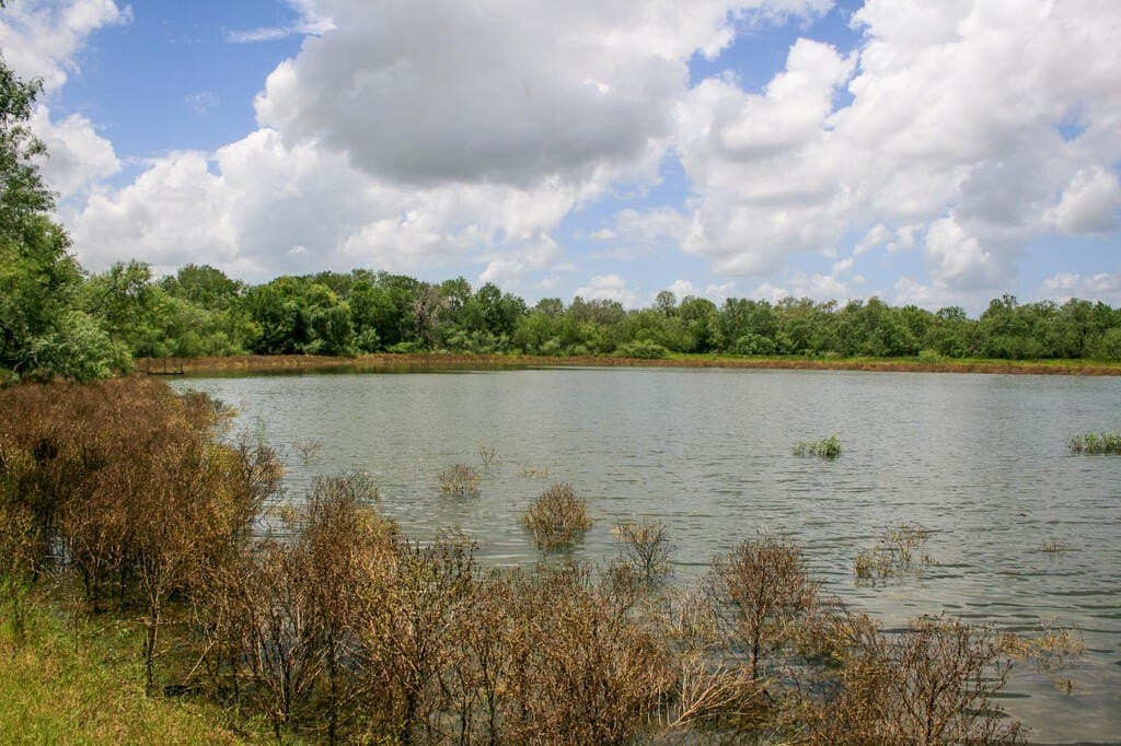 97.24 acres in Wilson County - photo 26