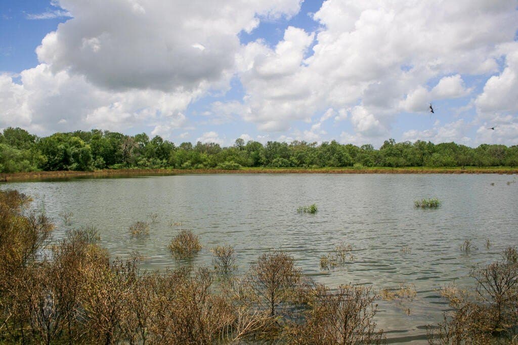 97.24 acres in Wilson County - photo 23