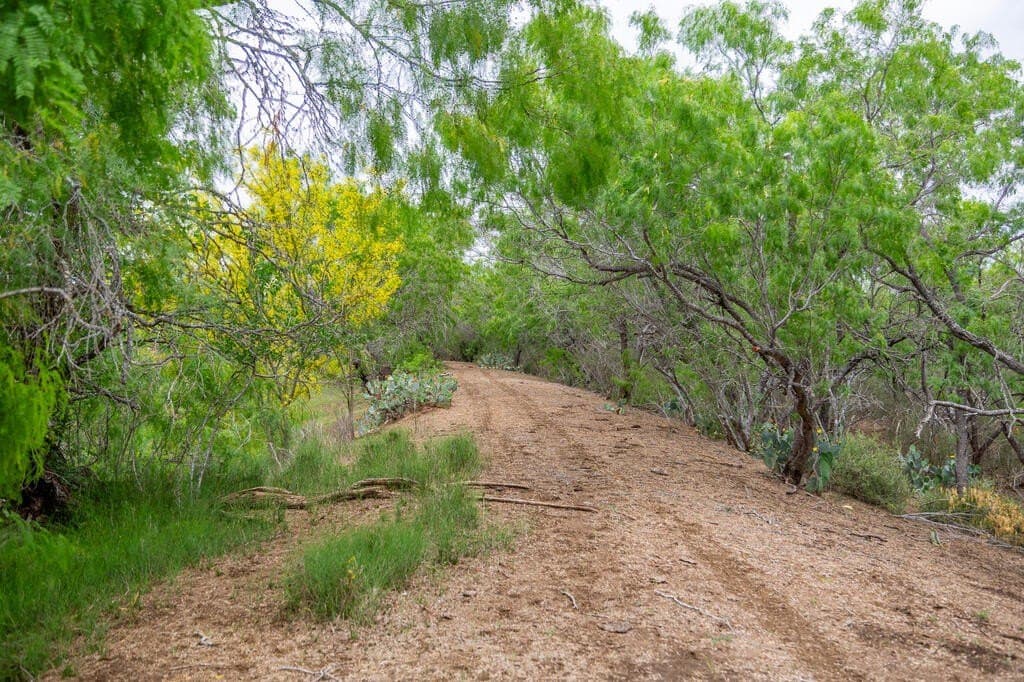 97.24 acres in Wilson County - photo 25