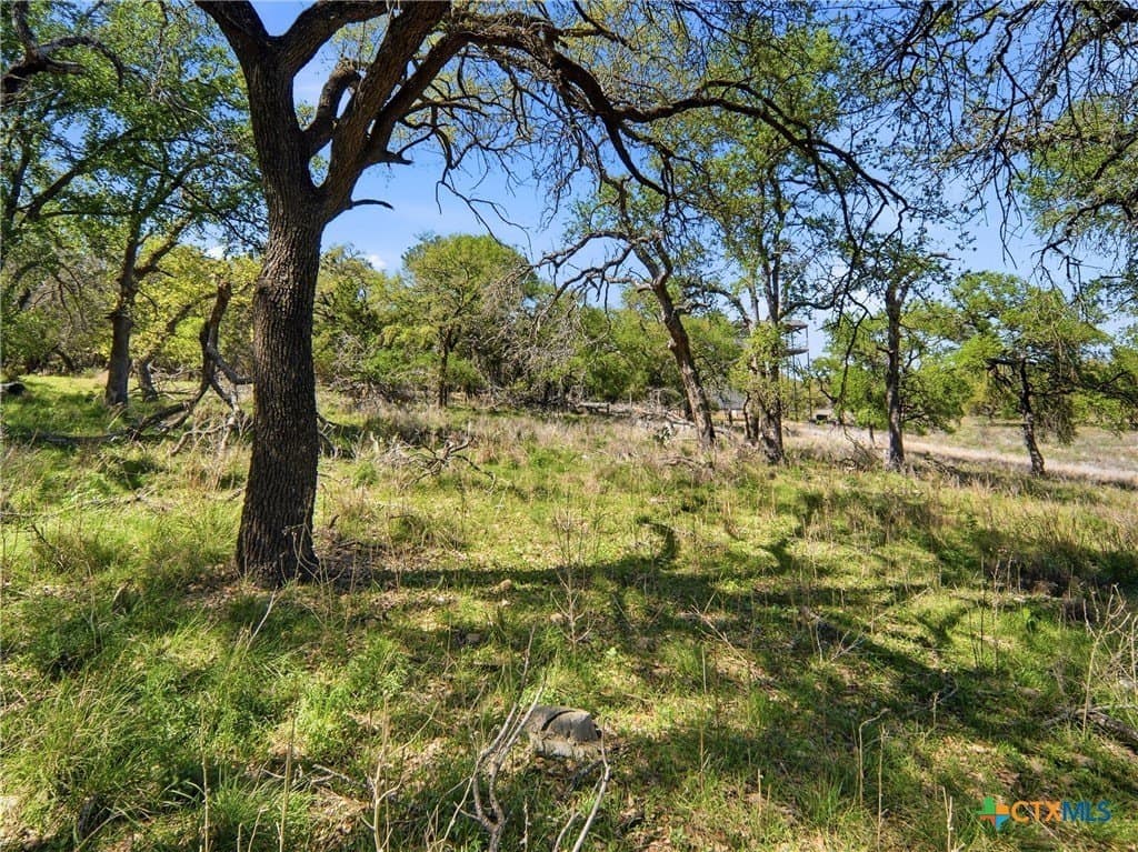 0.36 acres in Travis County - photo 26