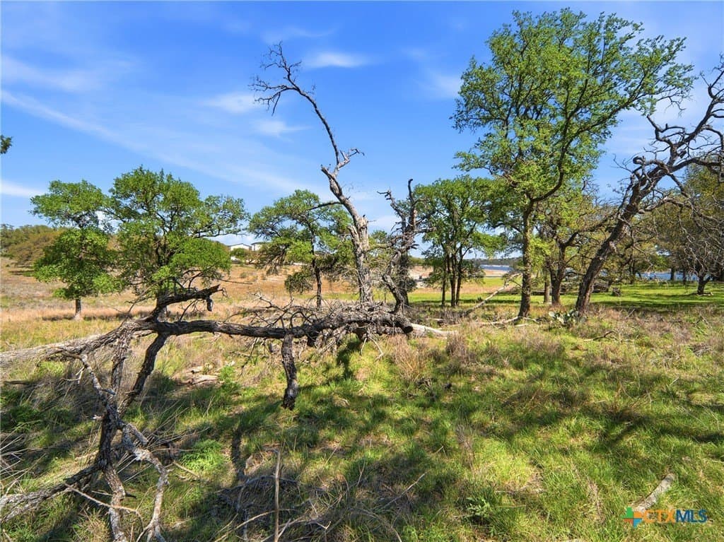 0.36 acres in Travis County - photo 21
