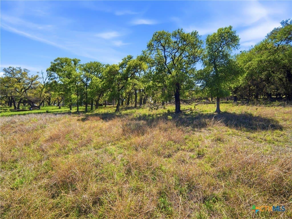 0.36 acres in Travis County - photo 23