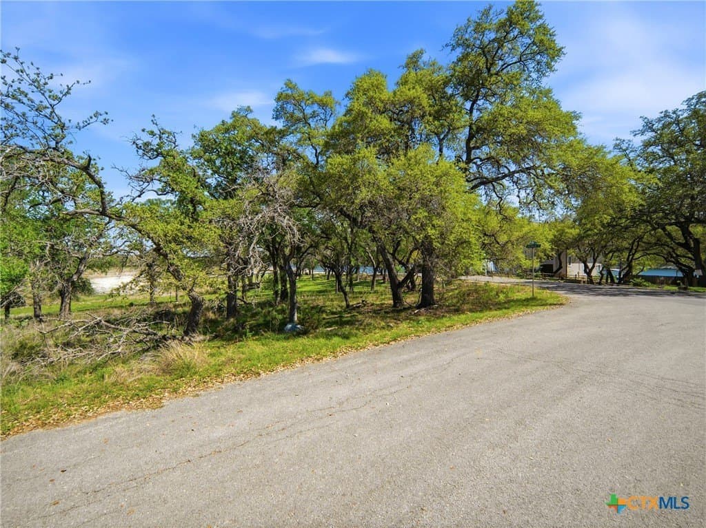 0.36 acres in Travis County - photo 19