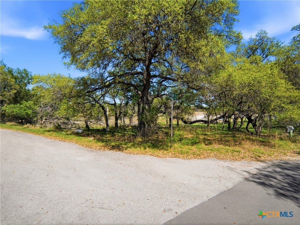0.36 acres in Travis County - photo 18