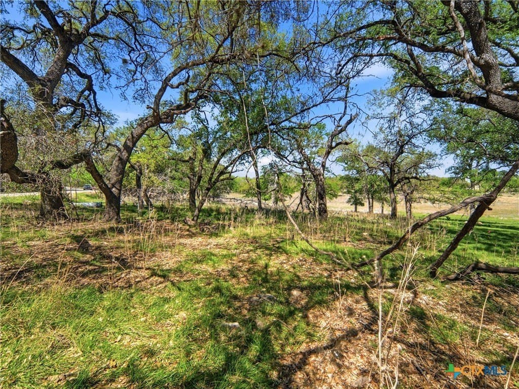 0.36 acres in Travis County - photo 20