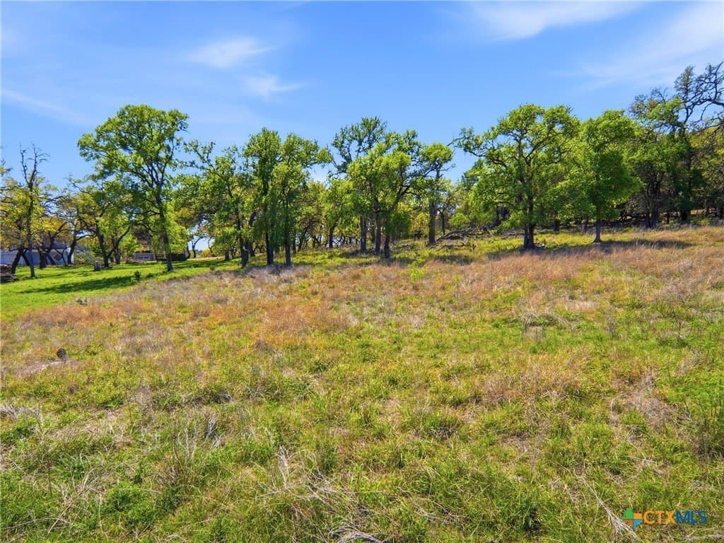 0.36 acres in Travis County - photo 24