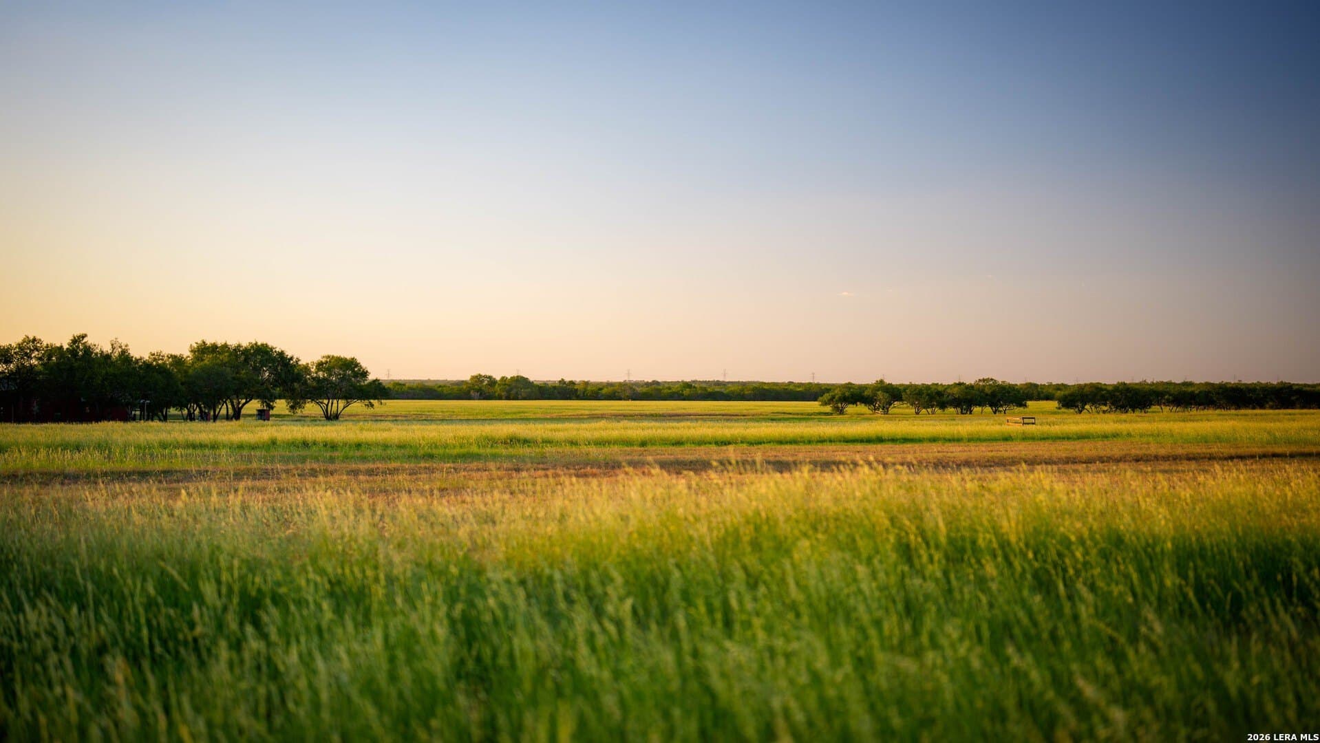 144.39 acres in Wilson County - photo 49