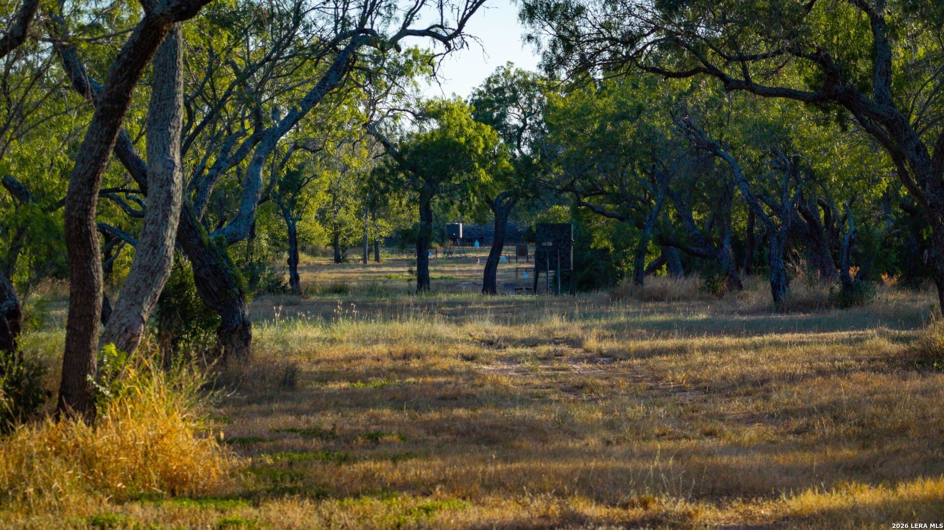144.39 acres in Wilson County - photo 9