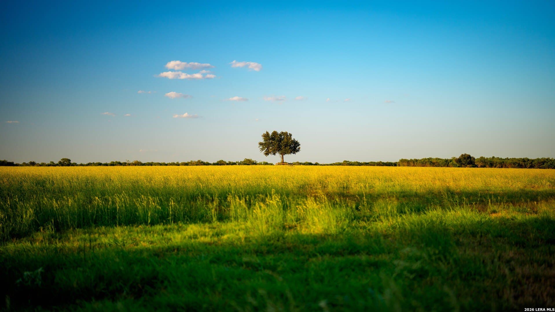 144.39 acres in Wilson County - photo 46