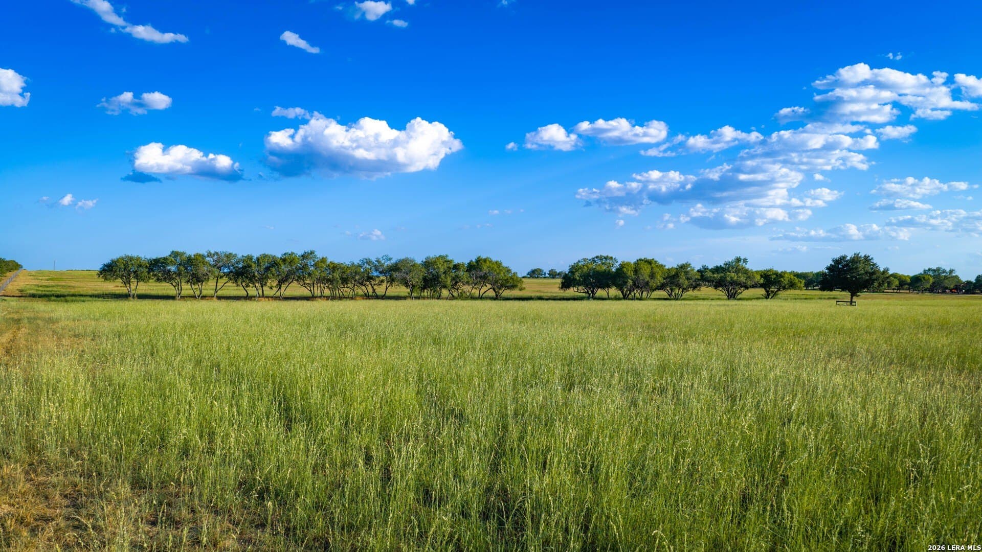 144.39 acres in Wilson County - photo 5