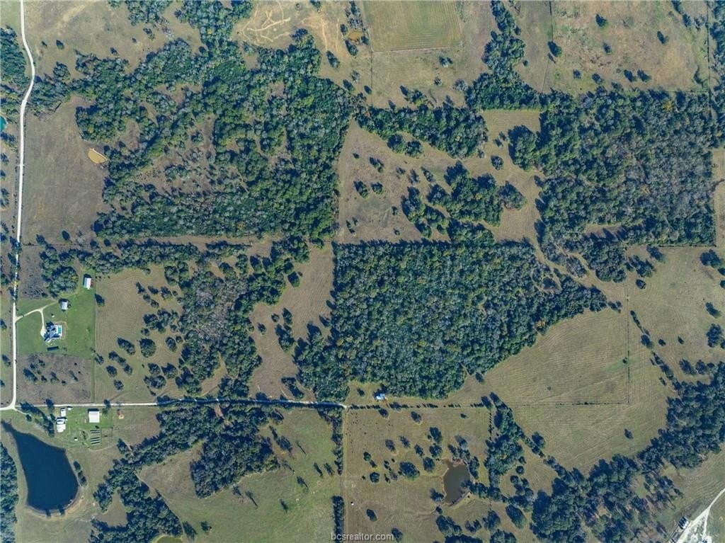 114.11 acres in Grimes County gallery image 4