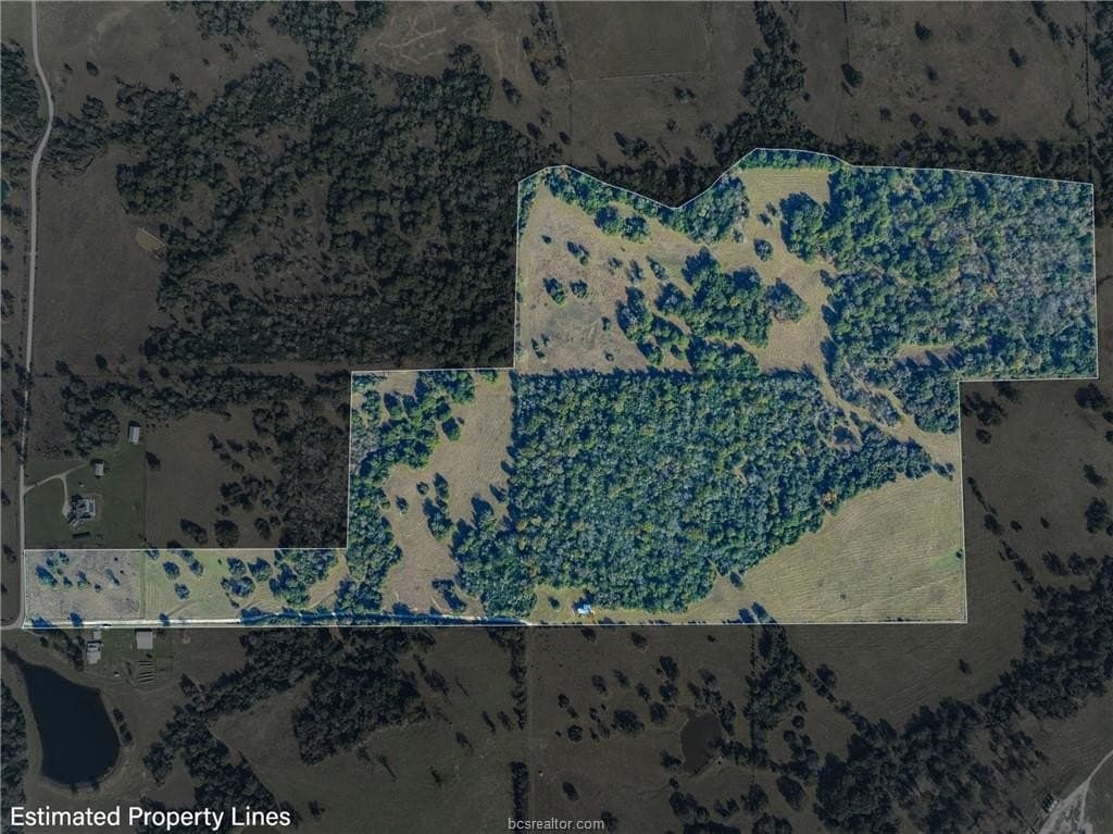 114.11 acres in Grimes County gallery image 3