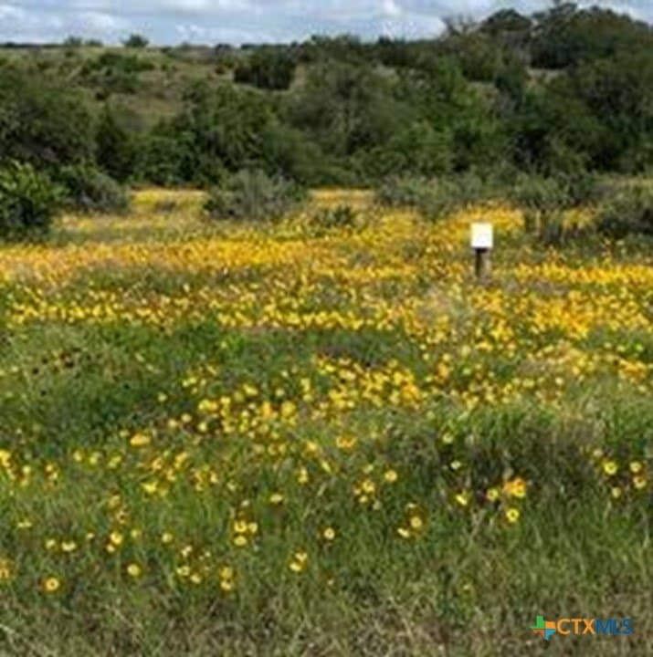 5.88 acres in Blanco County