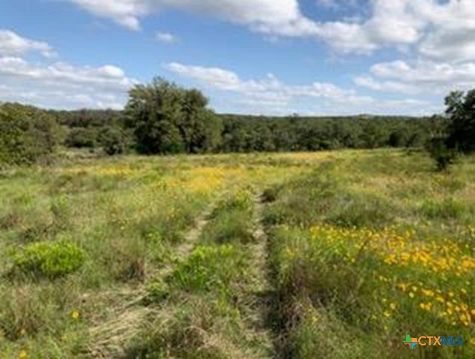 5.88 acres in Blanco County gallery image 4