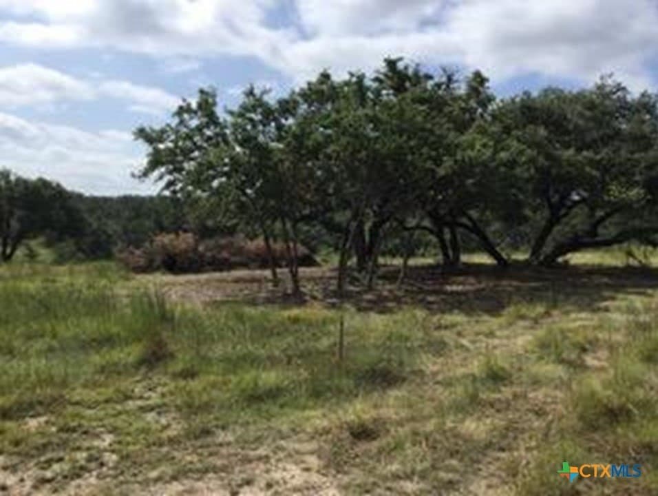5.88 acres in Blanco County gallery image 3