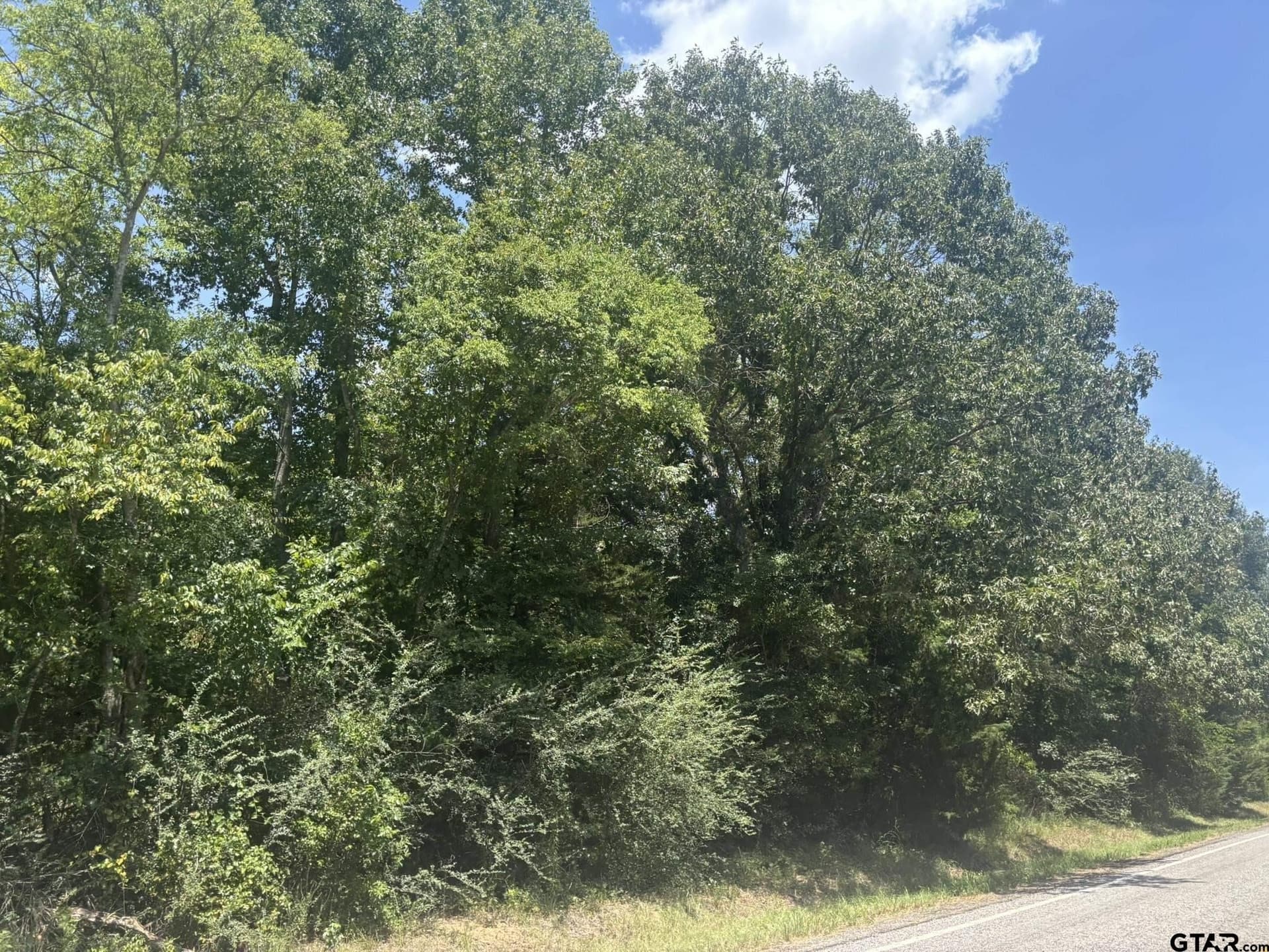 1.24 acres in Camp County - photo 6