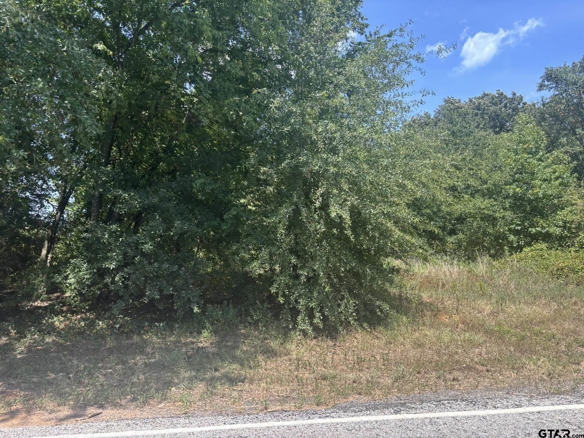 1.24 acres in Camp County - photo 5