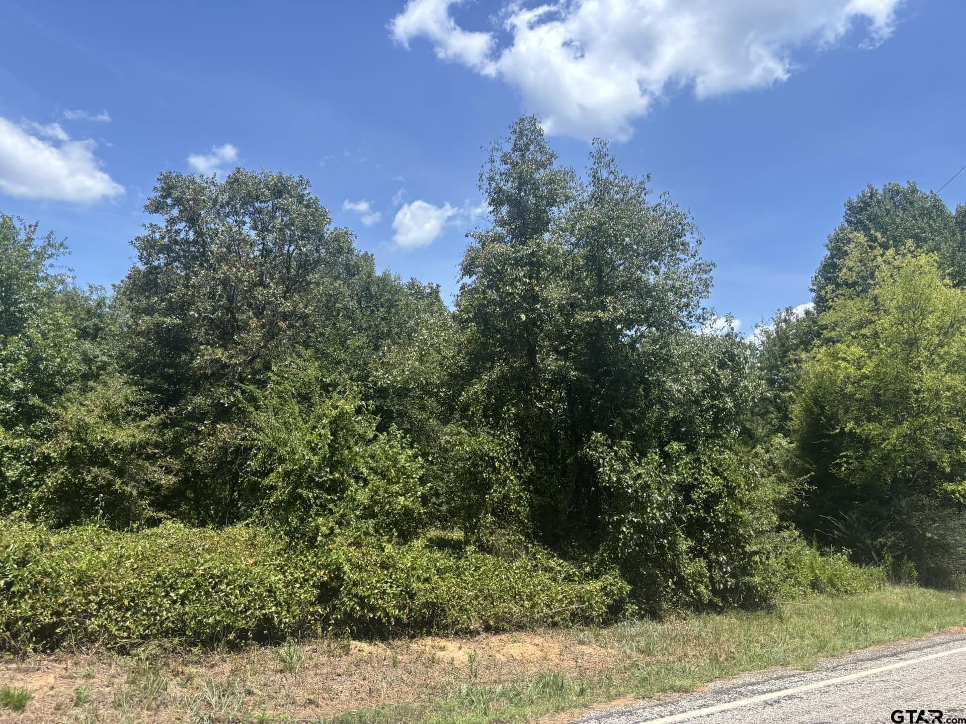 1.24 acres in Camp County - photo 3