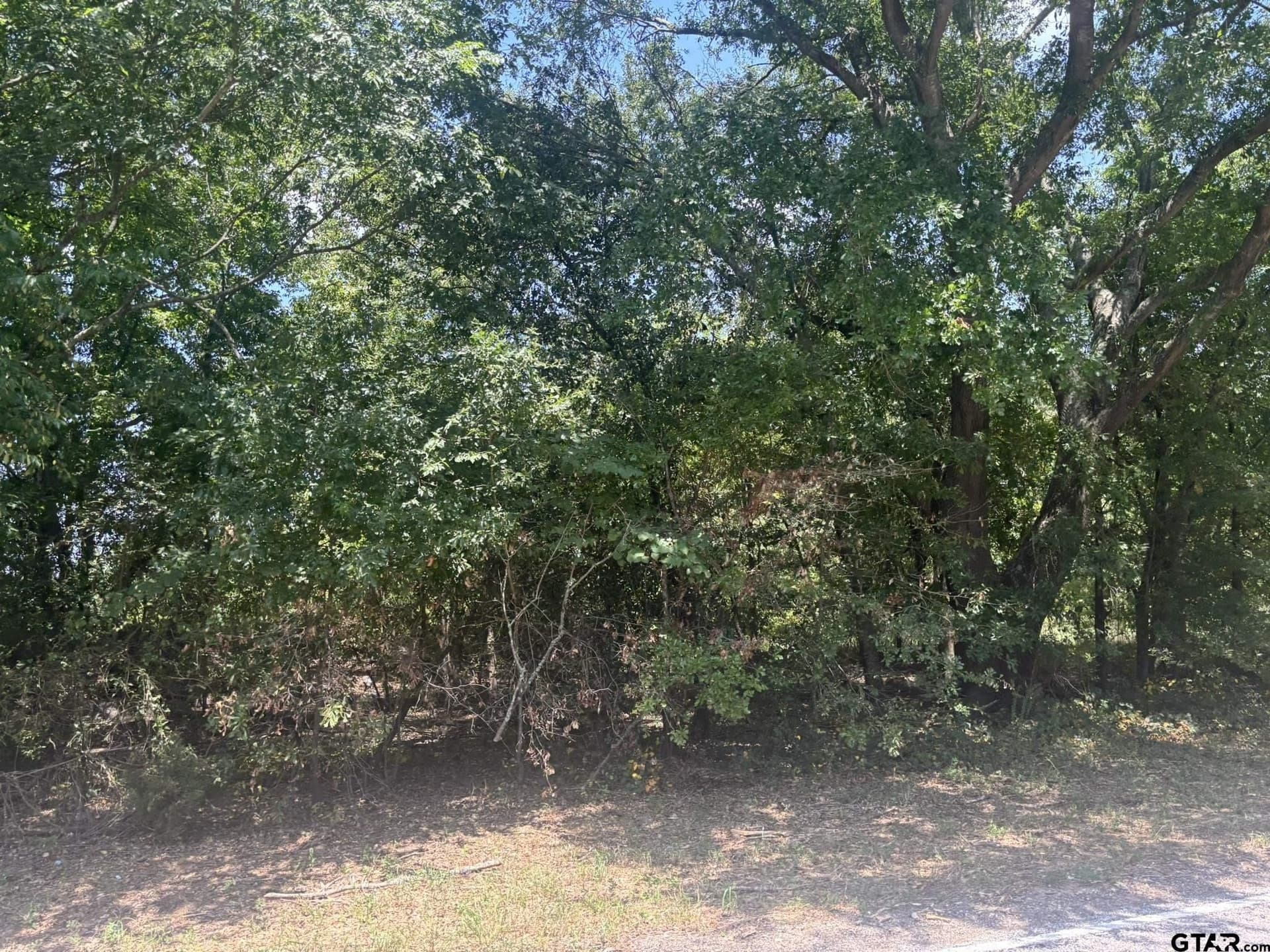 1.24 acres in Camp County - photo 2