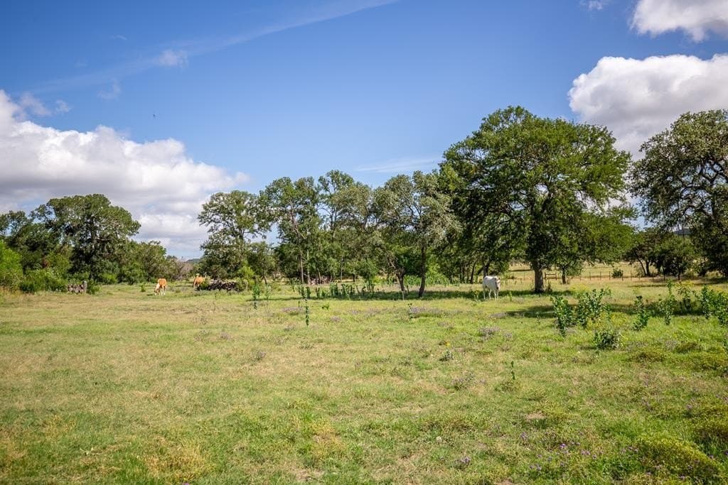 44.84 acres in Kerr County - photo 48
