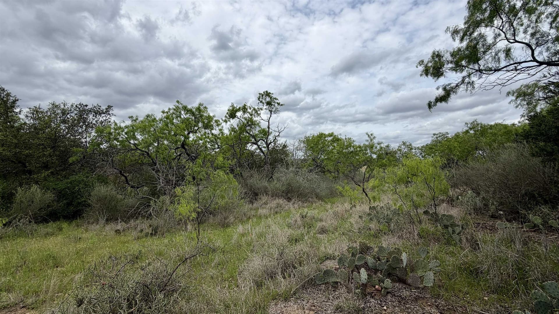 0.57 acres in Llano County gallery image 2