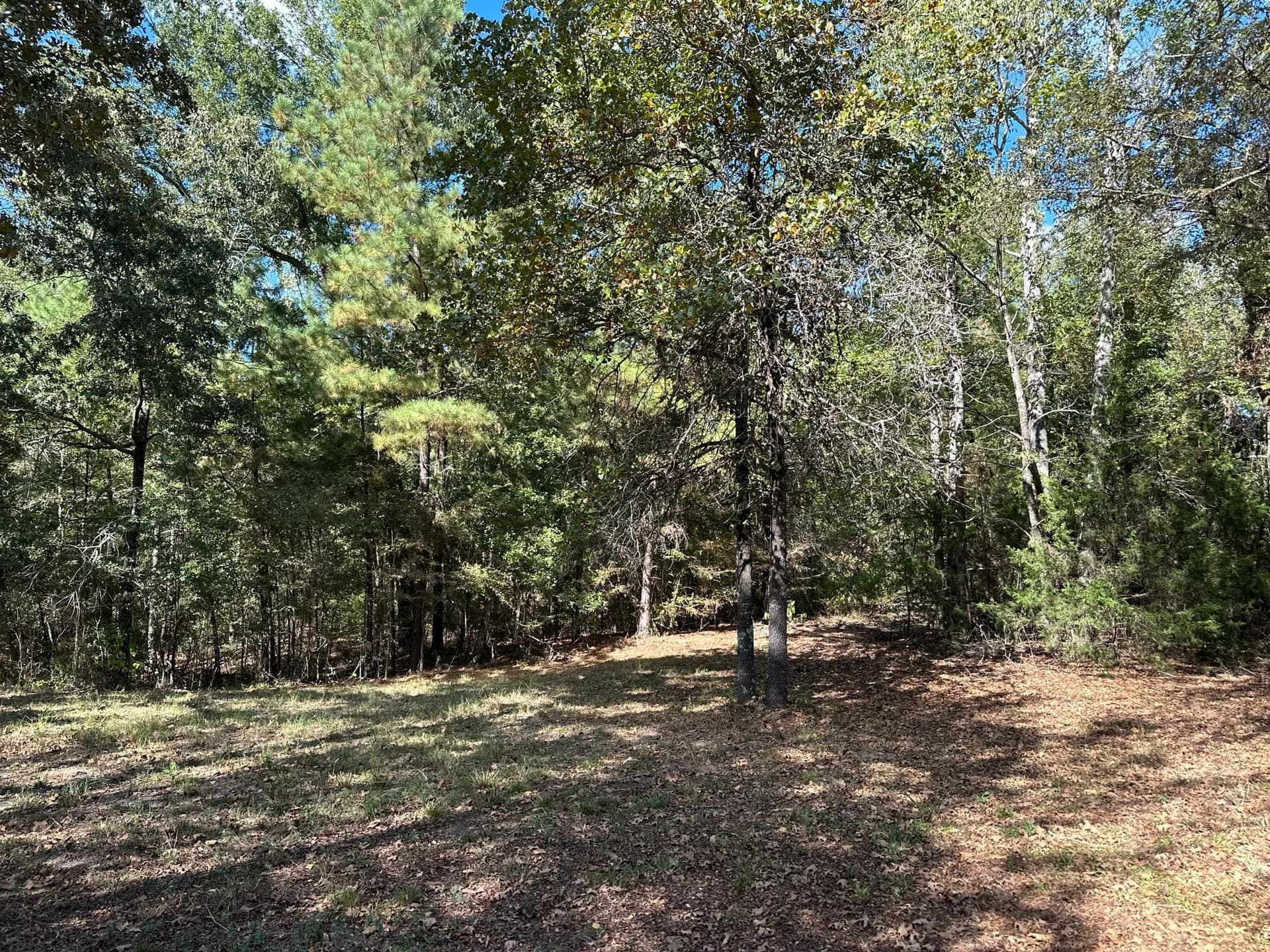 10.09 acres in Smith County - photo 23