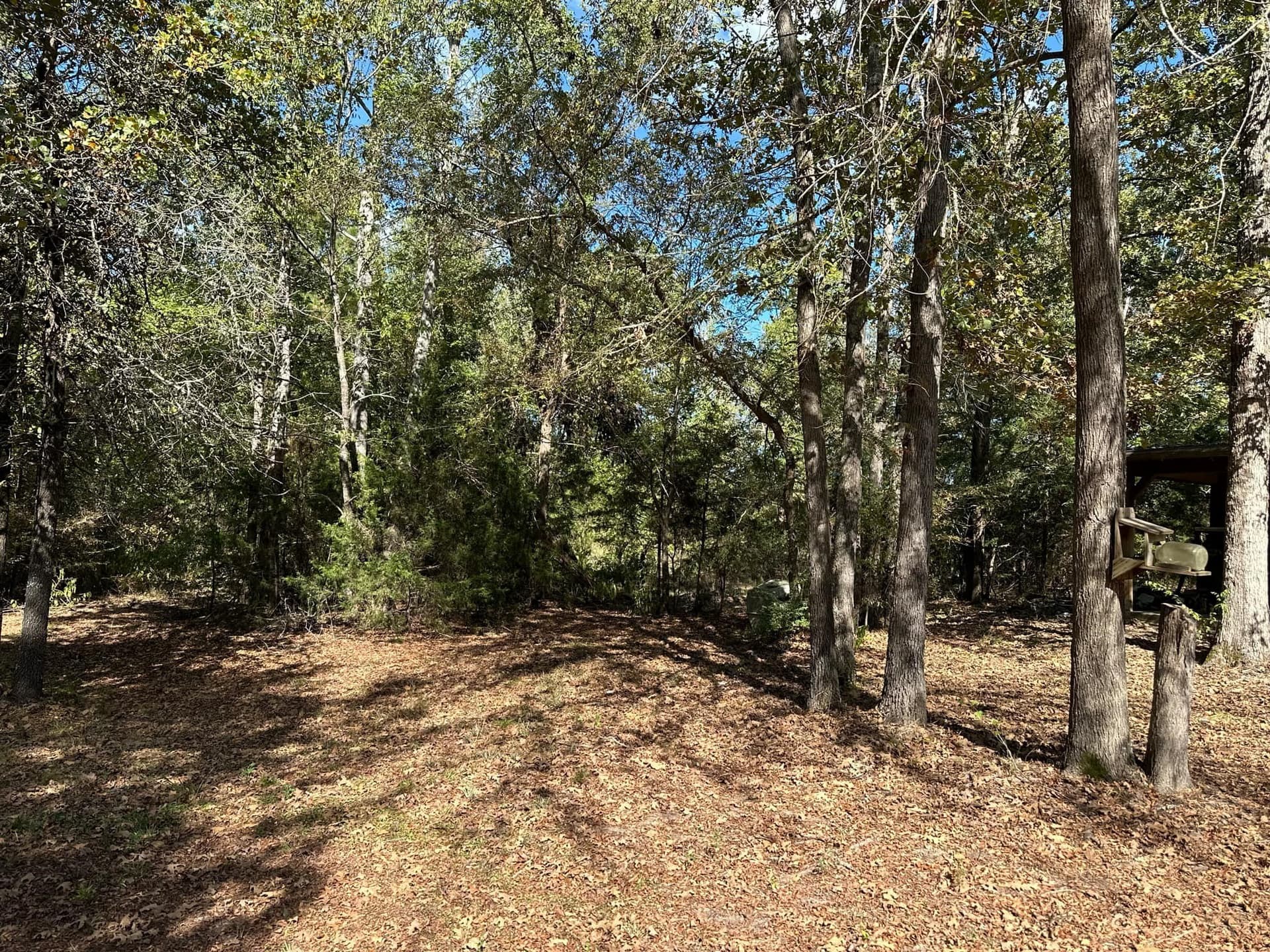 10.09 acres in Smith County - photo 19