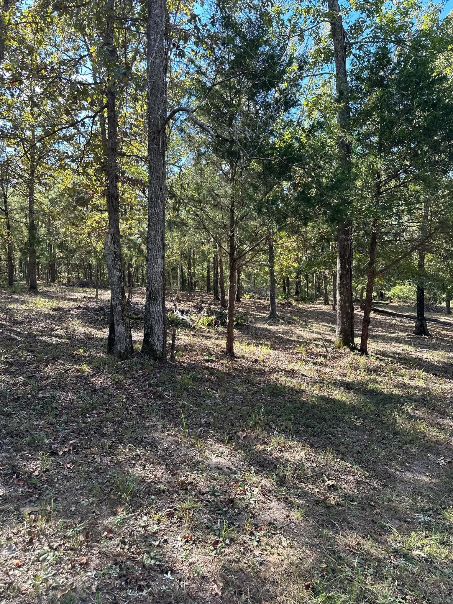 10.09 acres in Smith County - photo 21
