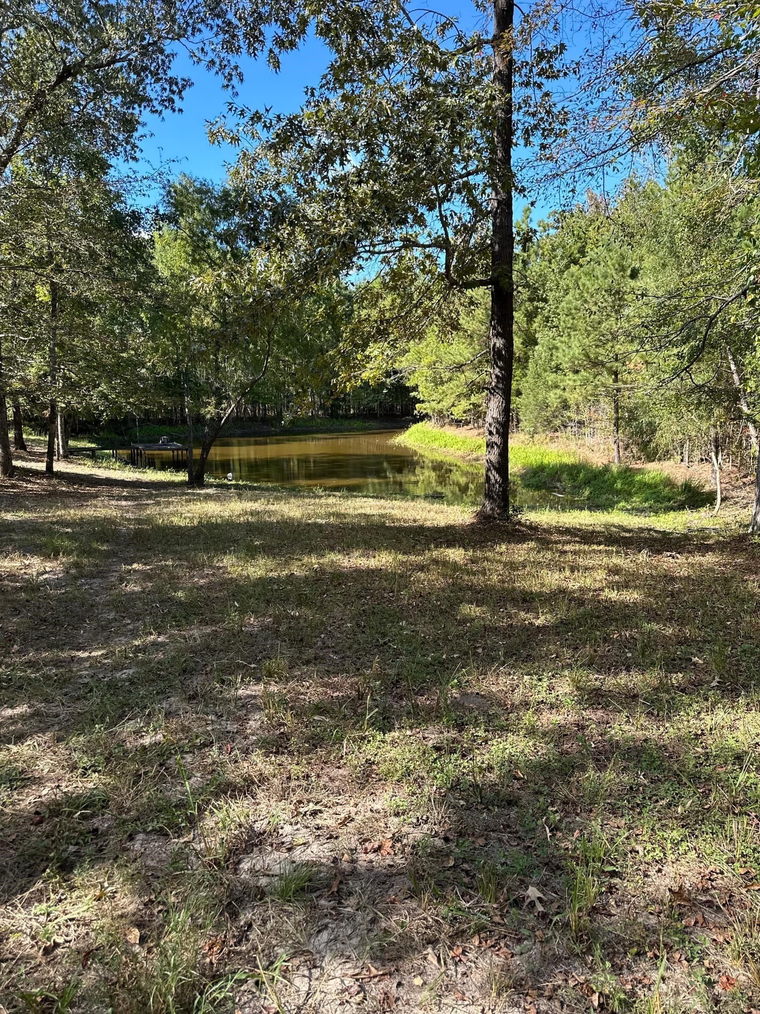 10.09 acres in Smith County - photo 14