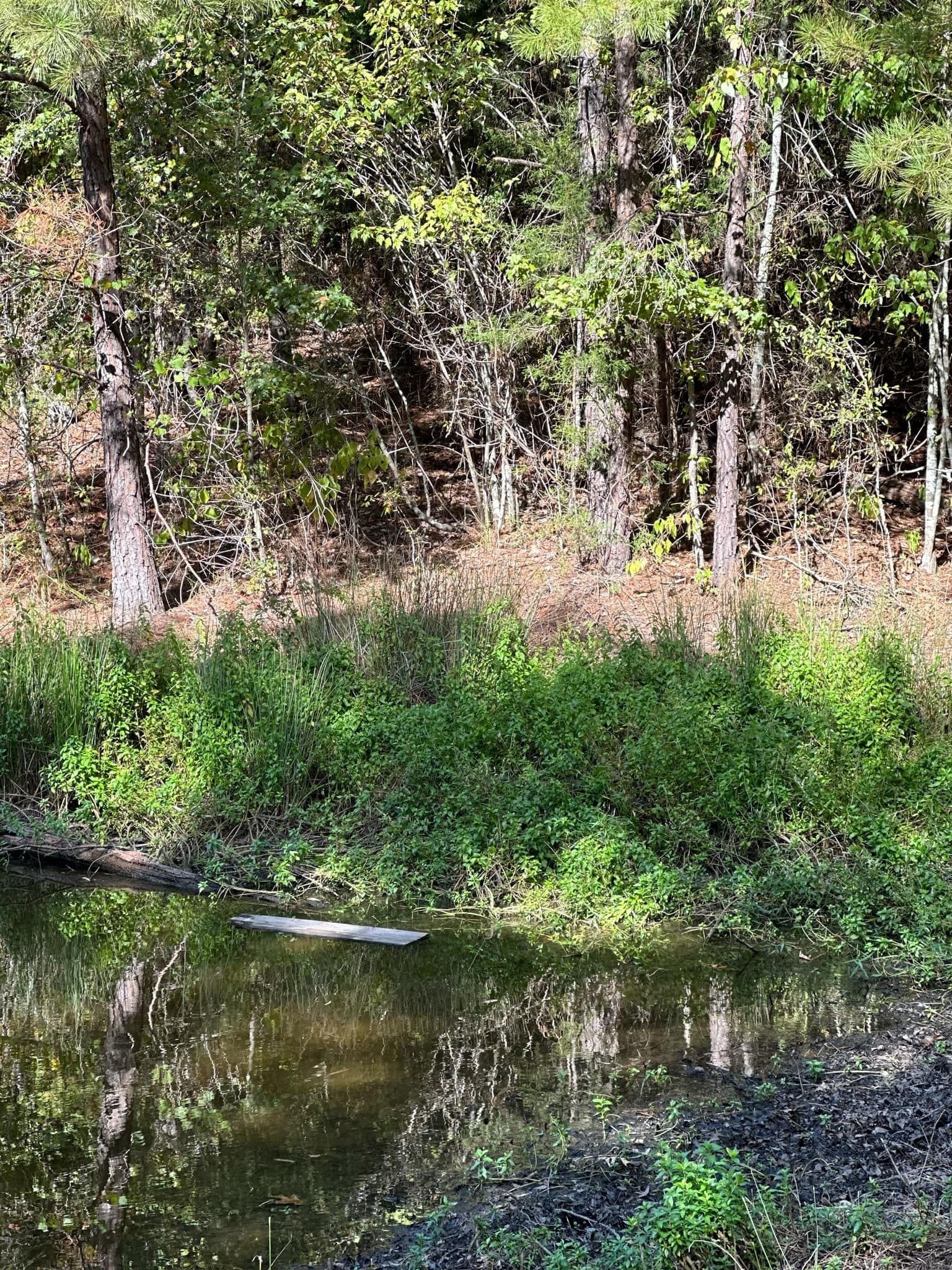 10.09 acres in Smith County - photo 22