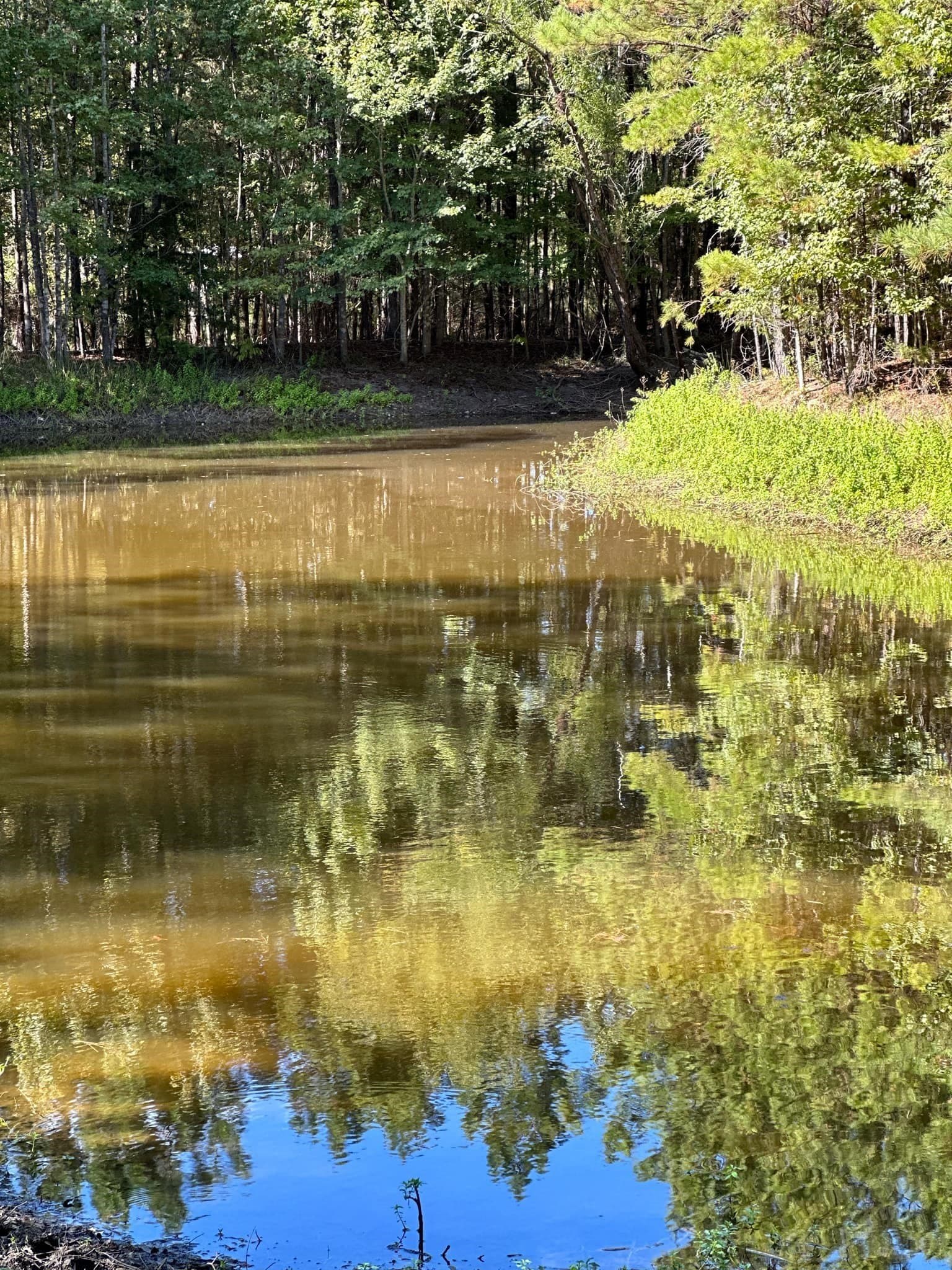 10.09 acres in Smith County - photo 26