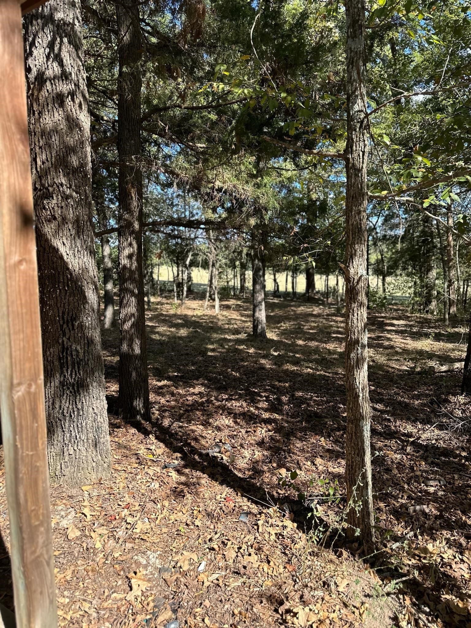 10.09 acres in Smith County - photo 27