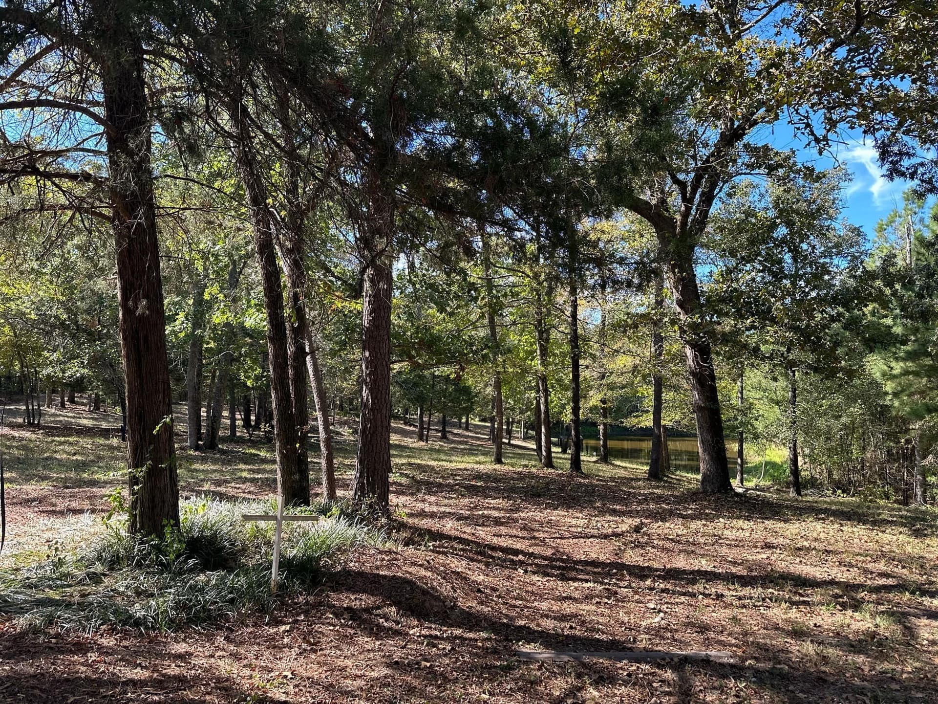 10.09 acres in Smith County - photo 20