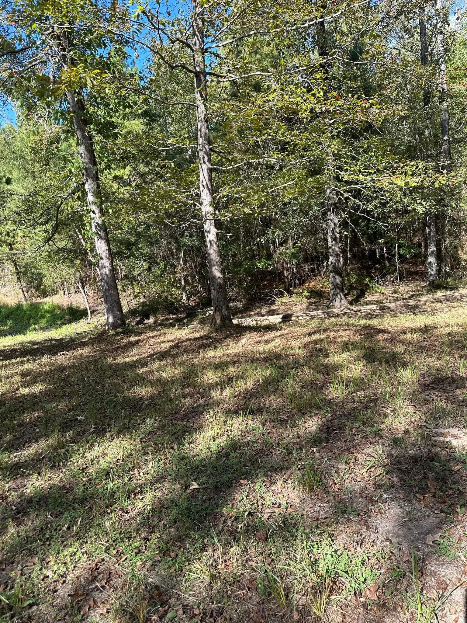 10.09 acres in Smith County - photo 13