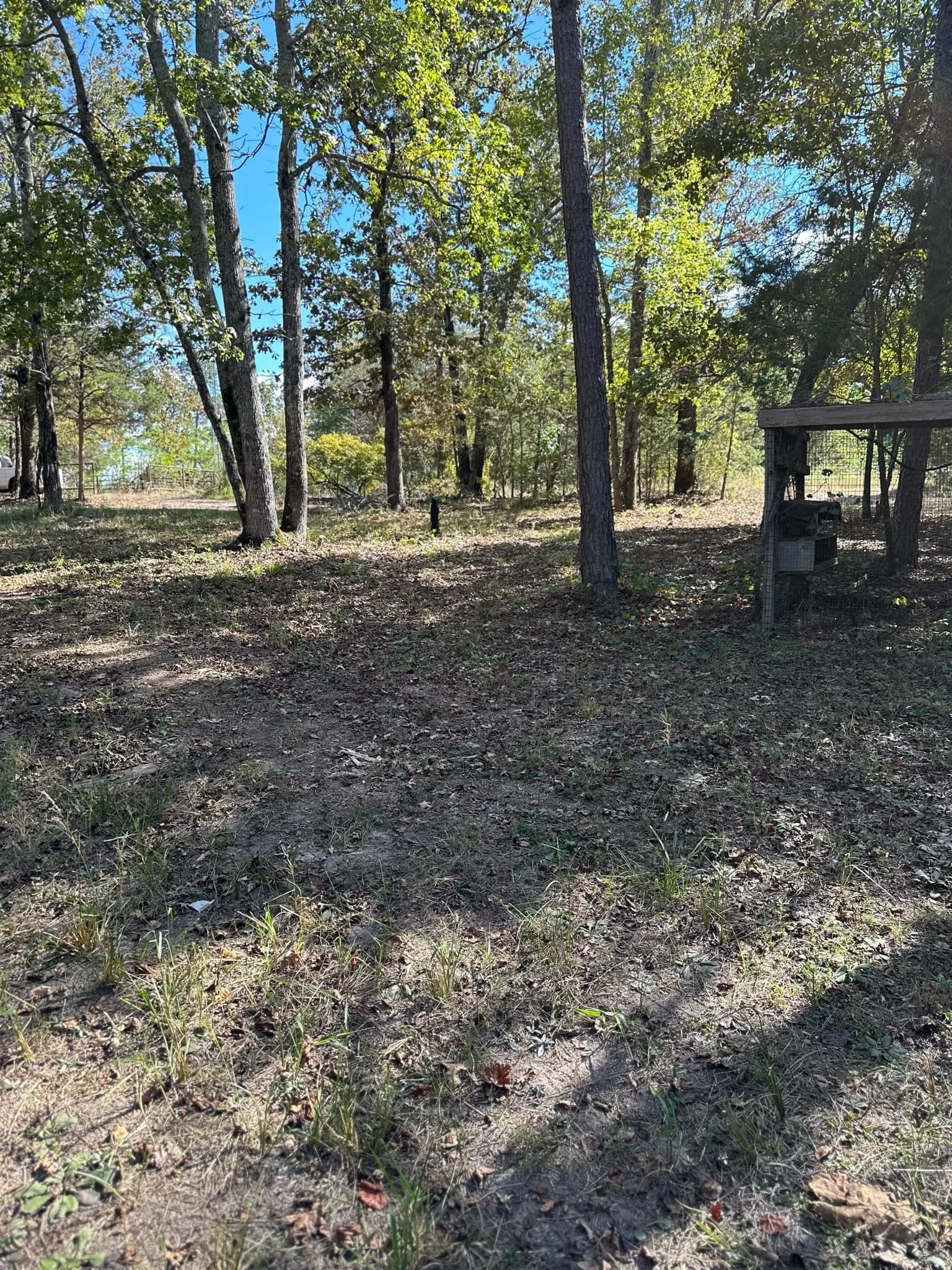 10.09 acres in Smith County - photo 30