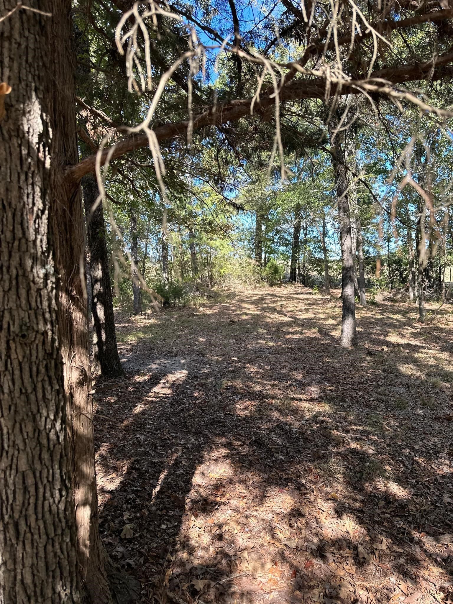 10.09 acres in Smith County - photo 17