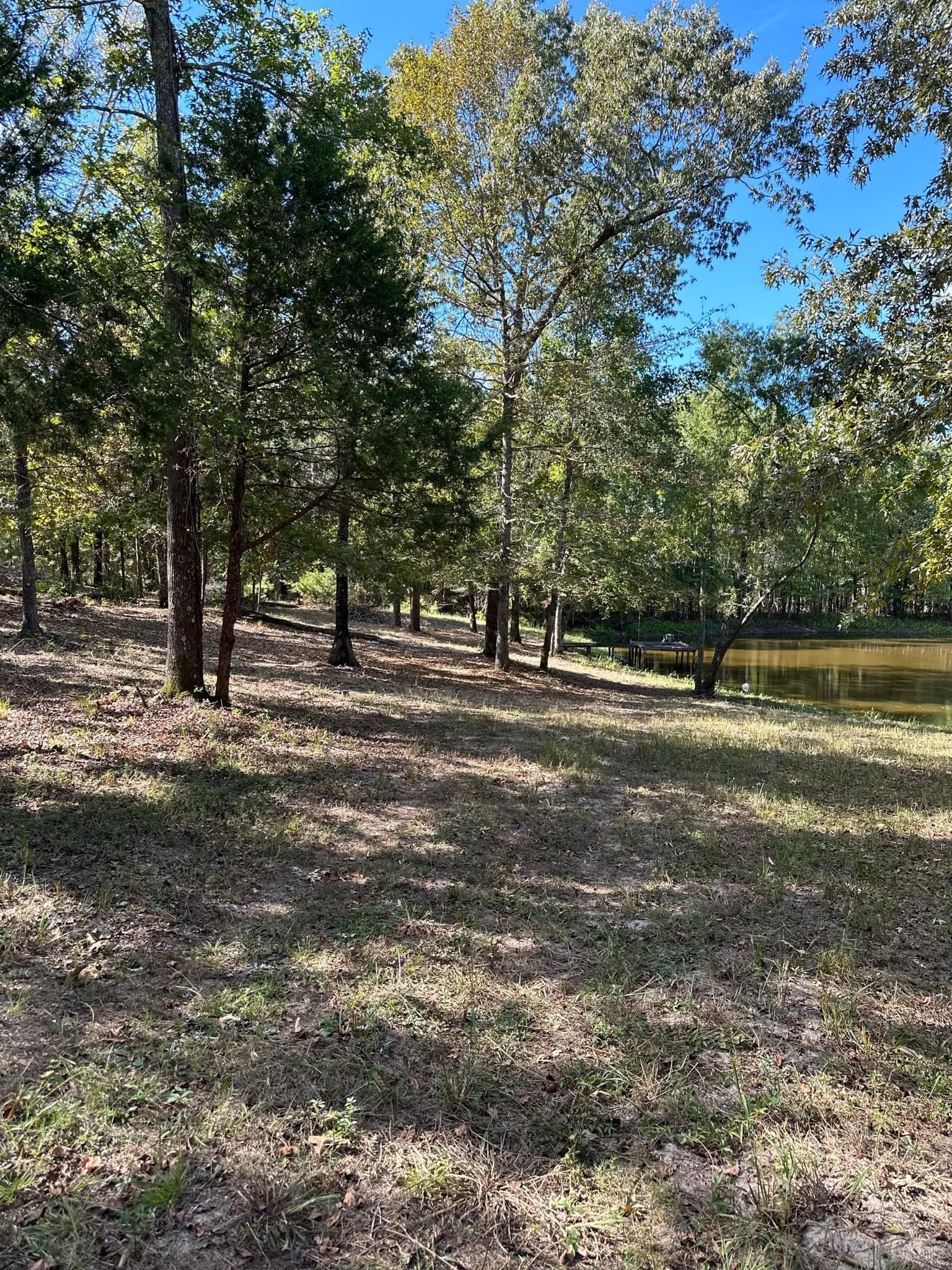 10.09 acres in Smith County - photo 15