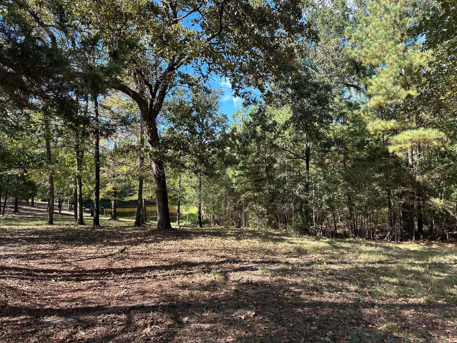 10.09 acres in Smith County - photo 12