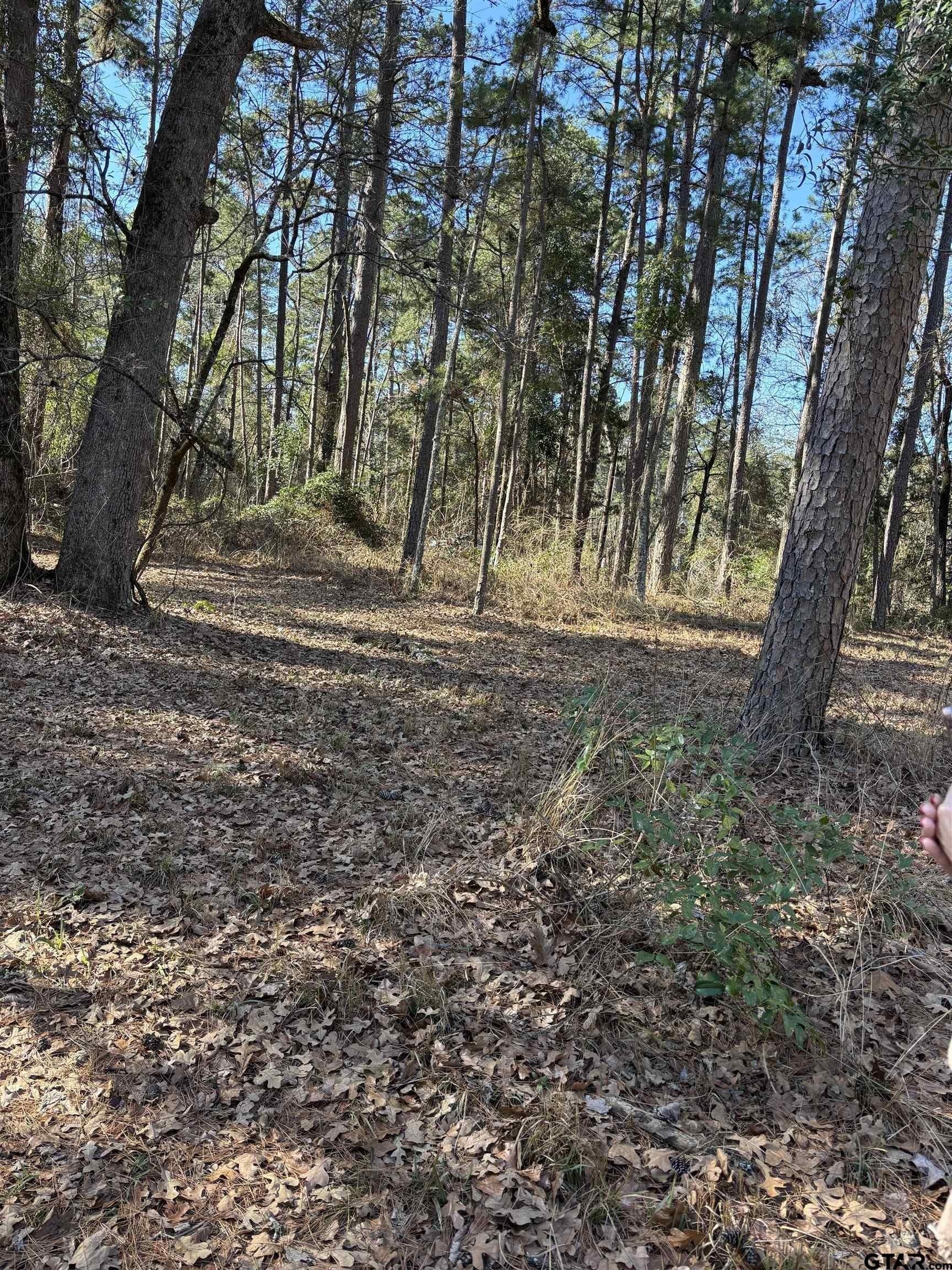 2.06 acres in Wood County - photo 16