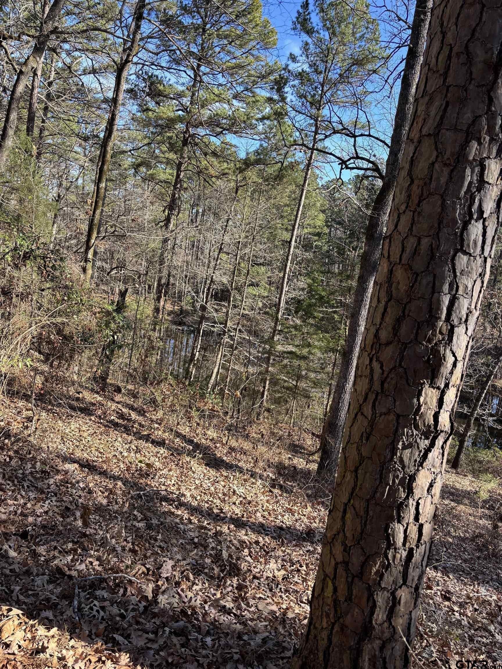 2.06 acres in Wood County - photo 8