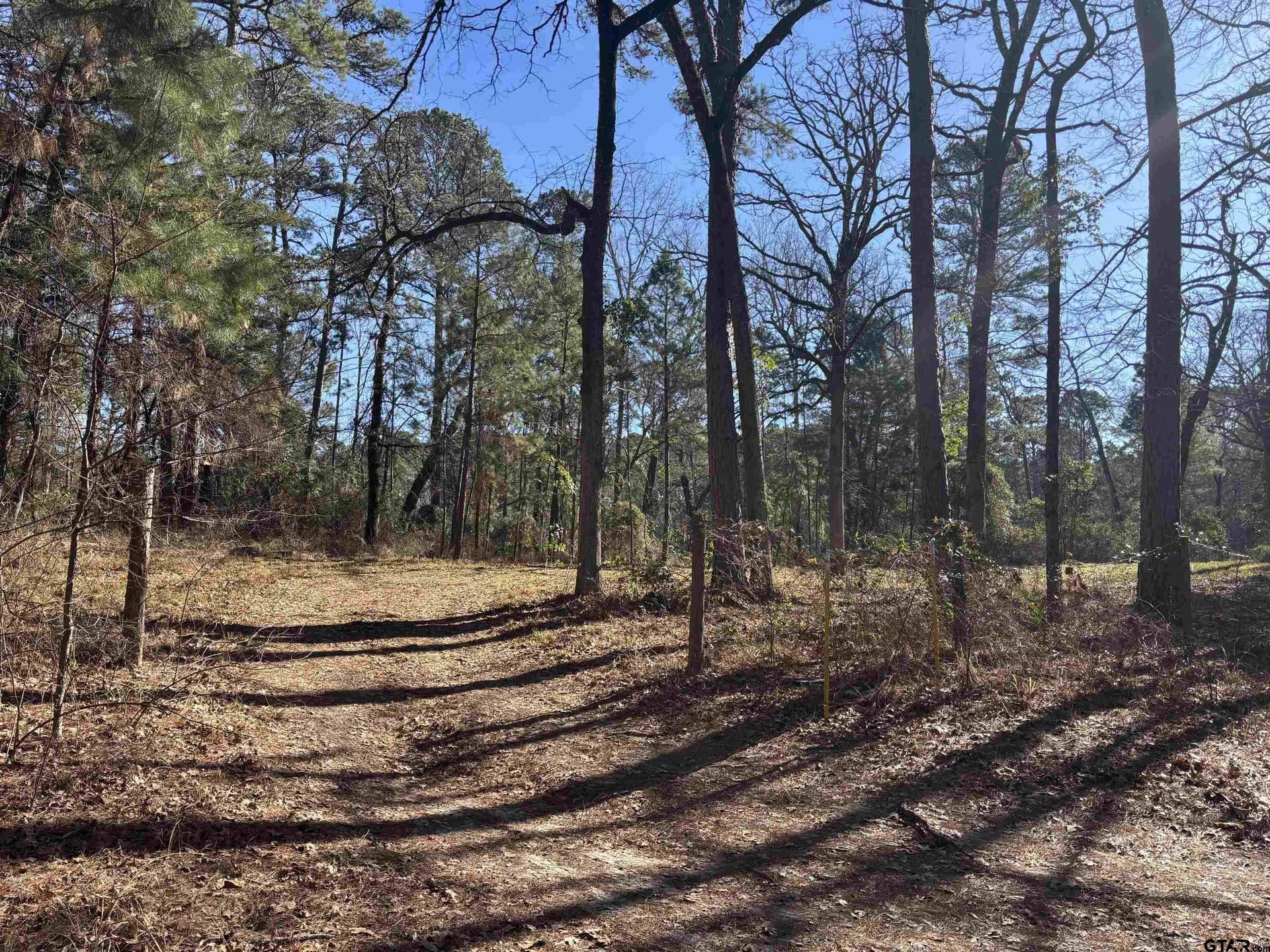 2.06 acres in Wood County - photo 18
