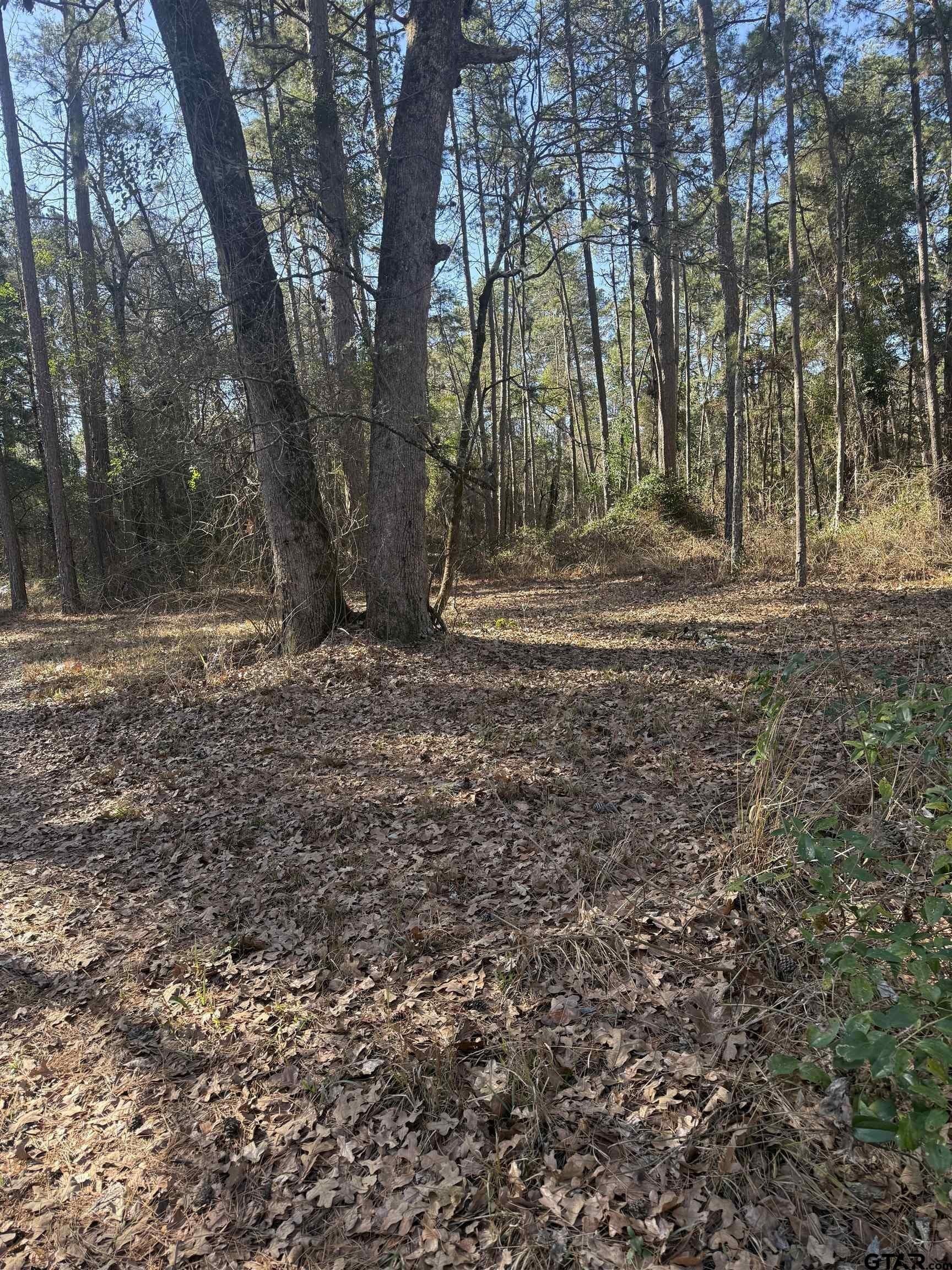 2.06 acres in Wood County - photo 15