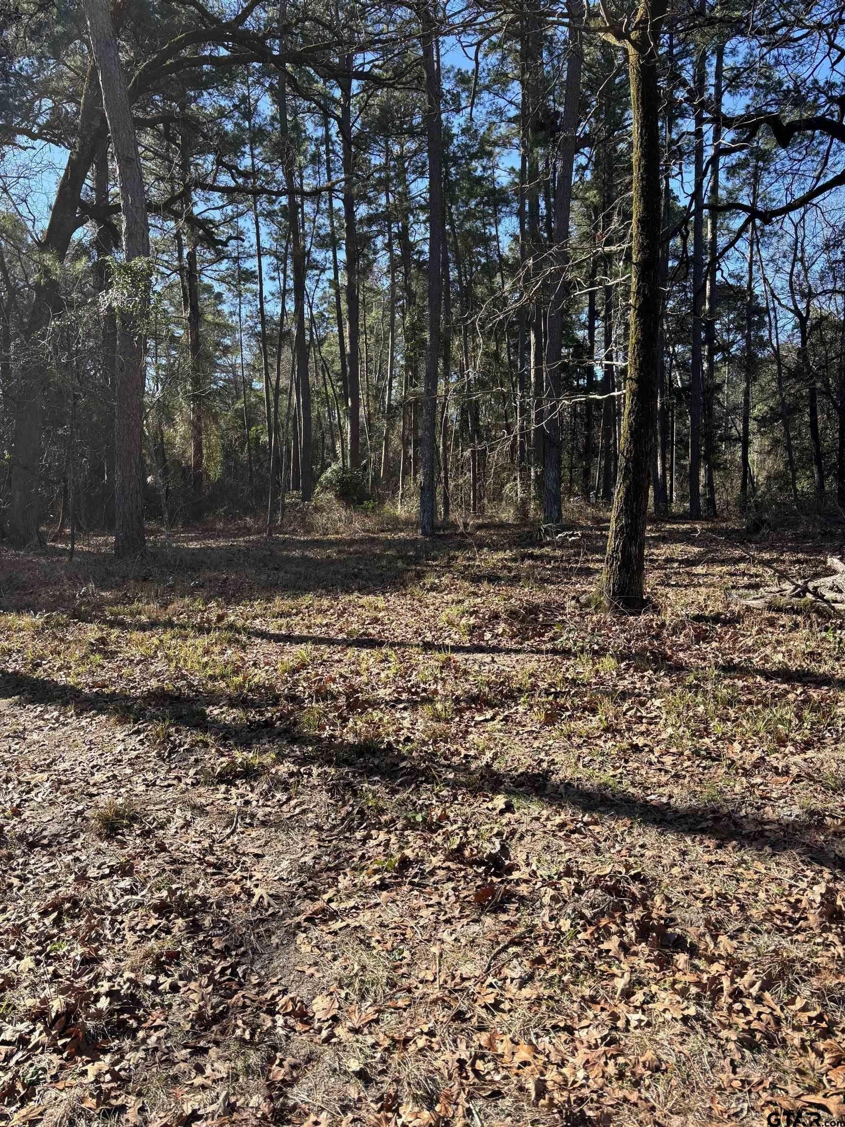2.06 acres in Wood County - photo 13